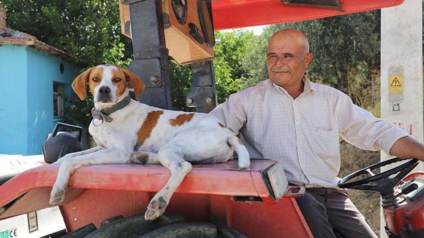 Üç yıl önce sahiplendiği köpek yol arkadaşı oldu: Motosikletin arkasına binip eve dönüyor, traktörü kimseye bırakmıyor!