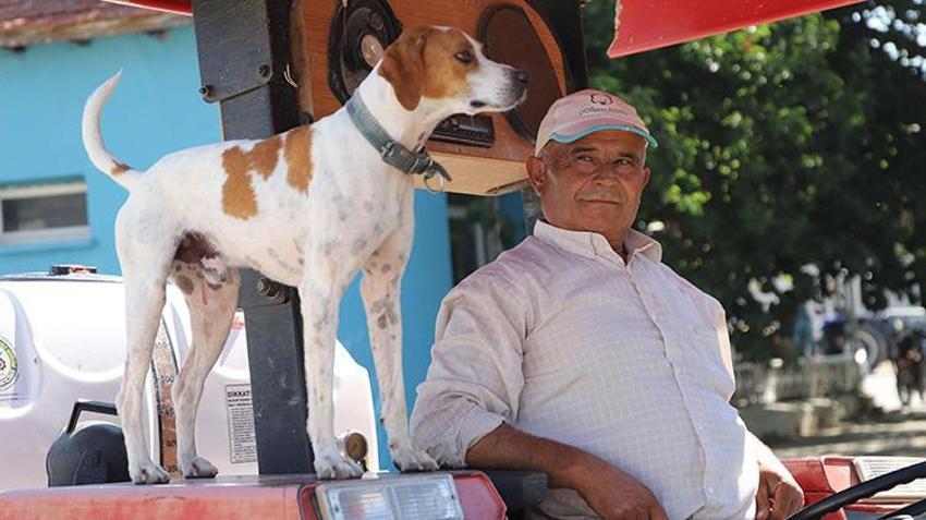 Üç yıl önce sahiplendiği köpek yol arkadaşı oldu: Motosikletin arkasına binip eve dönüyor, traktörü kimseye bırakmıyor!