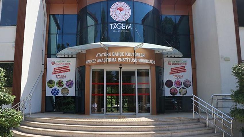 Çöpü bile değerlendiriliyor, tüketen şifa buluyor! Yalova’nın süper meyvesi sanayiye kazandırıldı, kapasite 3 katına çıkacak