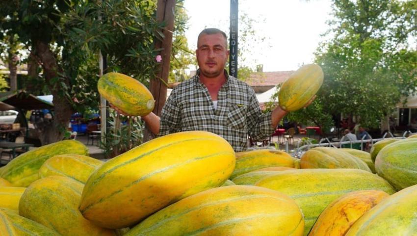 Yıllar sonra tavan arasında bulup yeniden ürettiler! Tadını bilen hasat başlar başlamaz köye akın ediyor