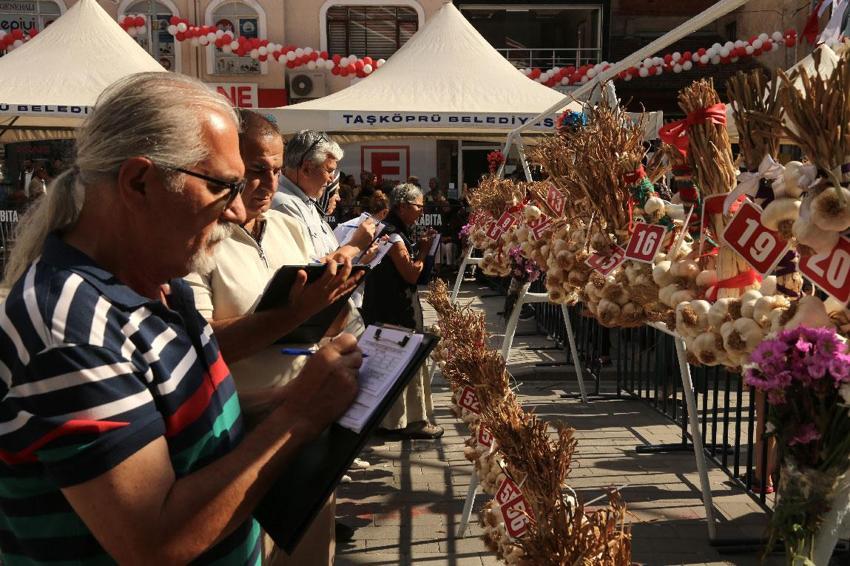 Dünyaca ünlü coğrafi işaretli Taşköprü sarımsağı festivalde yarıştı: 80 demet arasından en iyi sarımsak seçildi