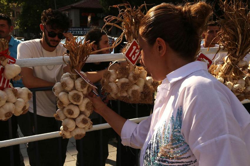 Dünyaca ünlü coğrafi işaretli Taşköprü sarımsağı festivalde yarıştı: 80 demet arasından en iyi sarımsak seçildi