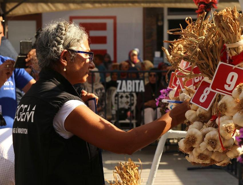 Dünyaca ünlü coğrafi işaretli Taşköprü sarımsağı festivalde yarıştı: 80 demet arasından en iyi sarımsak seçildi