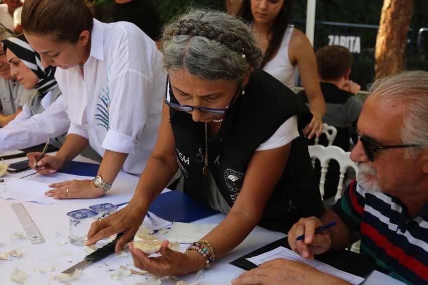 Dünyaca ünlü coğrafi işaretli Taşköprü sarımsağı festivalde yarıştı: 80 demet arasından en iyi sarımsak seçildi