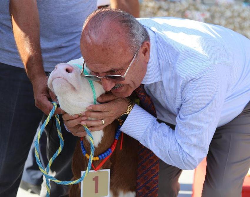 Dünyaca ünlü coğrafi işaretli Taşköprü sarımsağı festivalde yarıştı: 80 demet arasından en iyi sarımsak seçildi