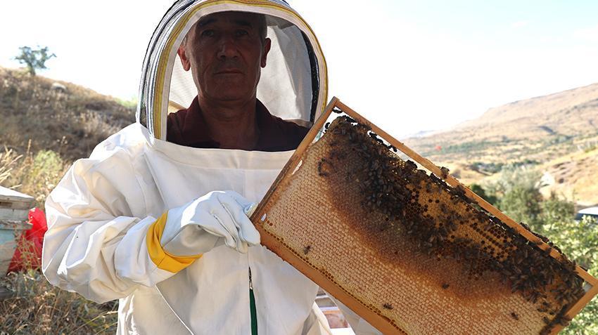 Nevşehir'de memur, mesai sonrası yapıyor! 136 tane var, 600 kilo çıkıyor: Avrupa'ya koli koli satıyor