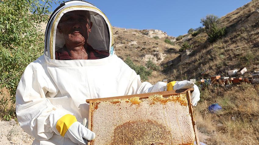 Nevşehir'de memur, mesai sonrası yapıyor! 136 tane var, 600 kilo çıkıyor: Avrupa'ya koli koli satıyor