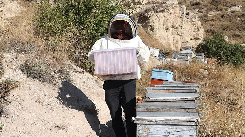 Nevşehir'de memur, mesai sonrası yapıyor! 136 tane var, 600 kilo çıkıyor: Avrupa'ya koli koli satıyor