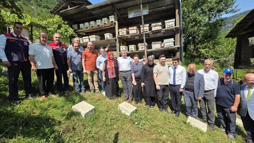 Macahel balında hasat heyecanı! İlk sağım yapıldı, gözler bu yılki rekoltede