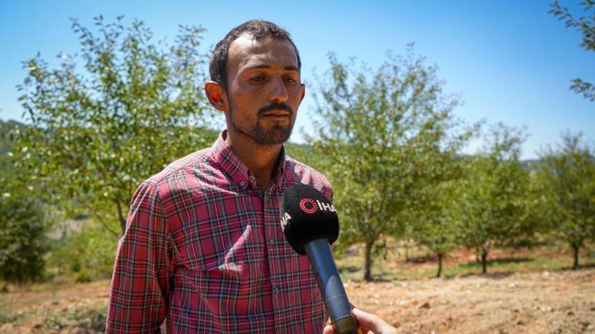 Ankara’da hasat başladı! Kilosu 150 TL’ye ulaşıyor: Çevre illerden sipariş yağıyor