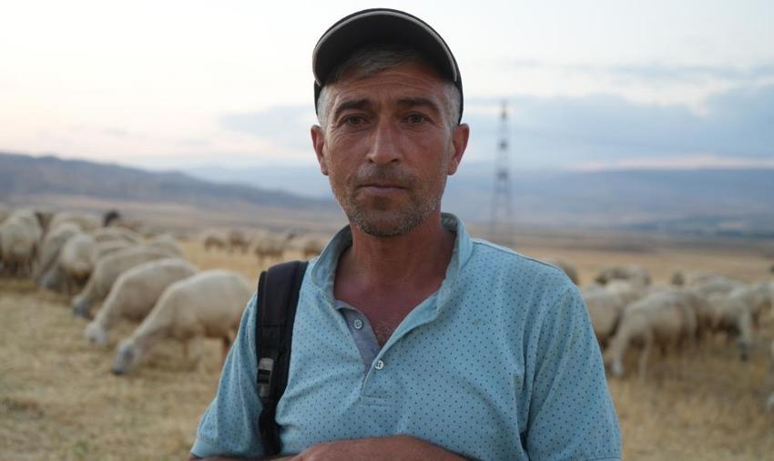 Kırıkkale'de 350 küçükbaş hayvan hırsızlığında şok detay: Kendini iple bağlatan çoban planı deşifre oldu