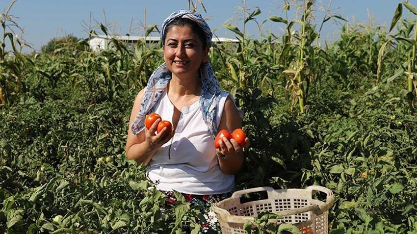 28 yıllık eczacıydı, yöntem değiştirdi: Önlüğü çıkarıp şalvarı giydi, kendi formülünü yazdı!