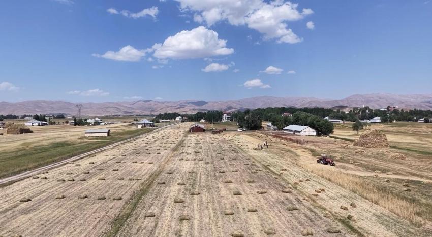 Yüksekova'da çiftçilerin buğday hasadı sabahın ilk ışıklarından gün batımına kadar sürdürüyor