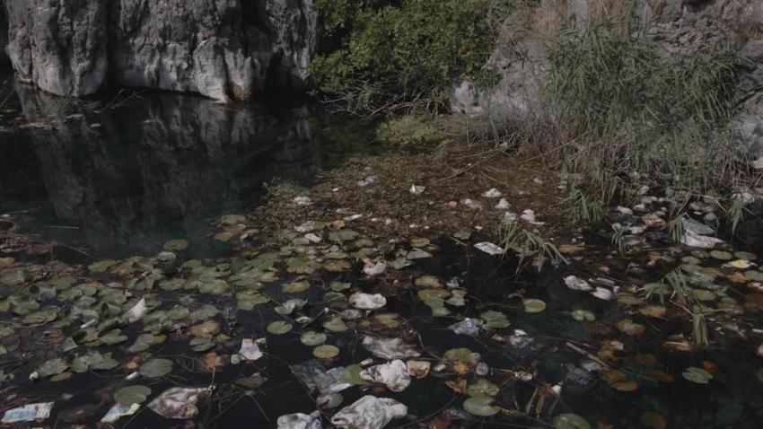Antalya'da dalgıçlar karşılaştı: Gözlerine inanamayıp kayda aldılar