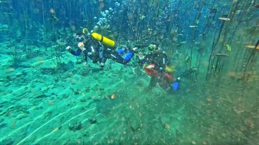 Antalya'da dalgıçlar karşılaştı: Gözlerine inanamayıp kayda aldılar