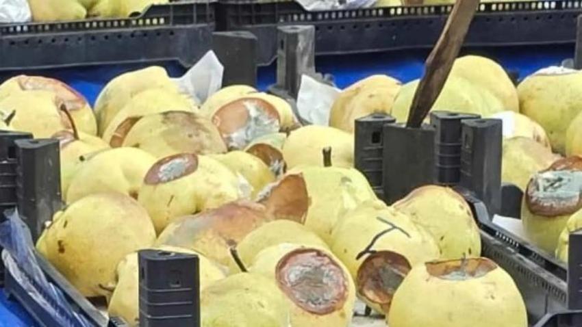 Antalya'da pazar tezgahında dikkat çeken görüntü: Çürümüş ve küflenmiş halde sattılar
