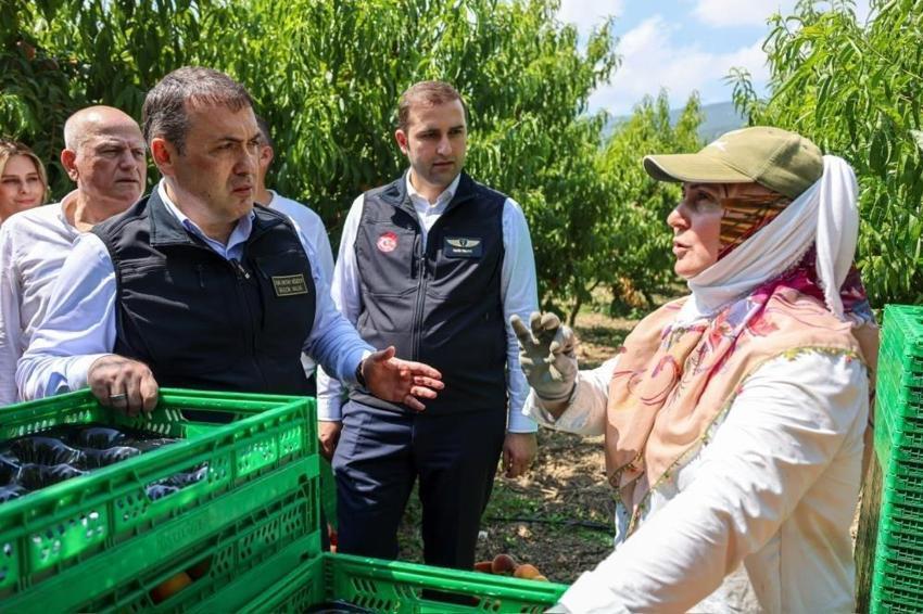 Bu şehirde üretilen her nektari ihraç ediliyor: Binlerce ton gönderildi