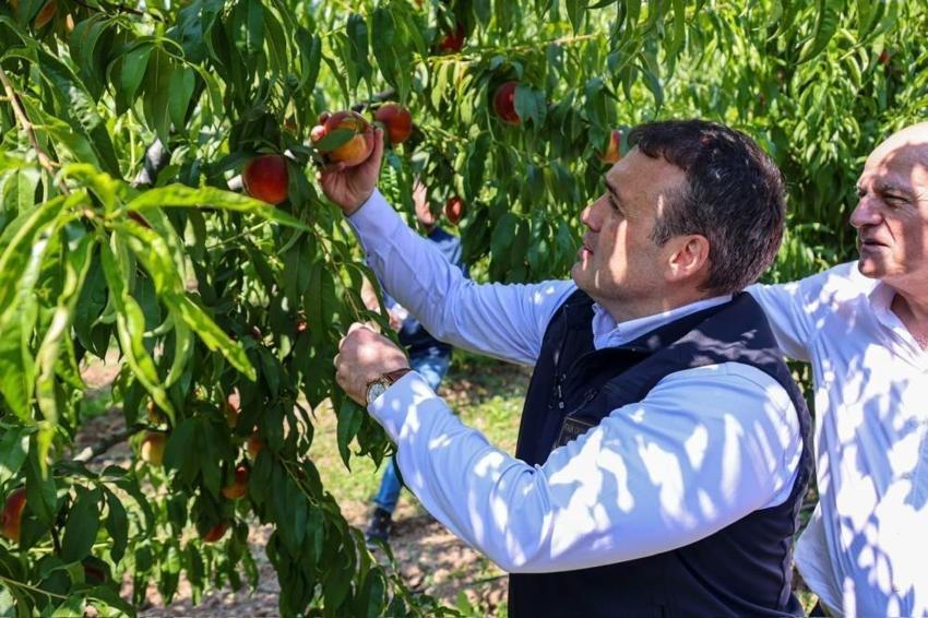 Bu şehirde üretilen her nektari ihraç ediliyor: Binlerce ton gönderildi