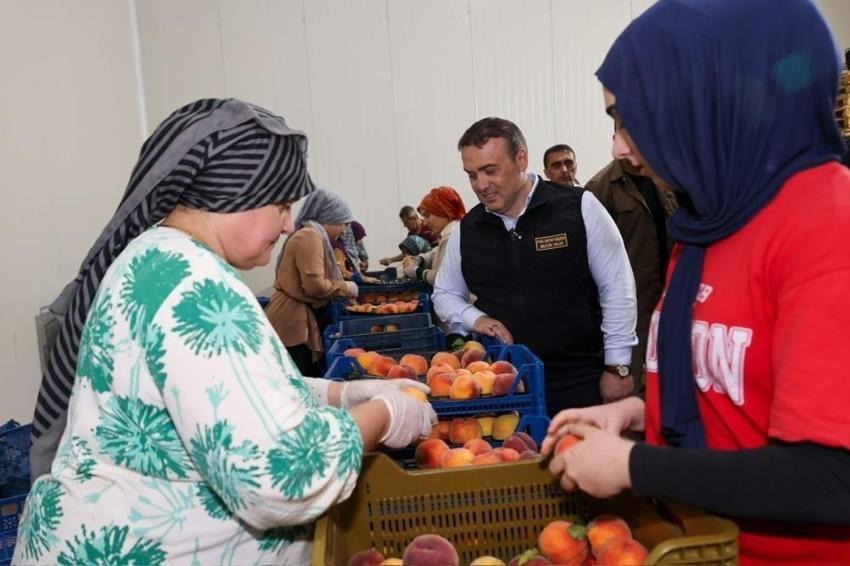 Bu şehirde üretilen her nektari ihraç ediliyor: Binlerce ton gönderildi