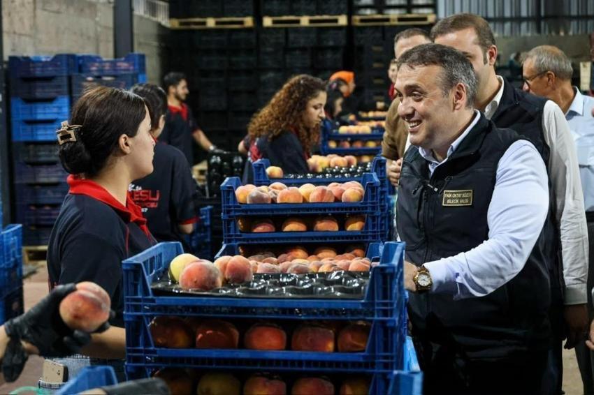 Bu şehirde üretilen her nektari ihraç ediliyor: Binlerce ton gönderildi