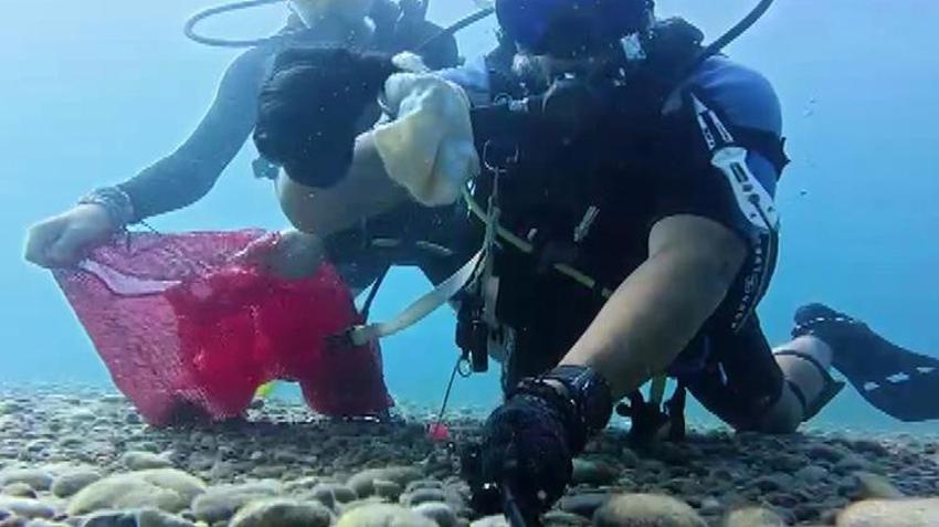 Antalya'da dalgıçlar gözlemledi: 'Hıdırellez dileklerini yiyerek ölüyorlar'