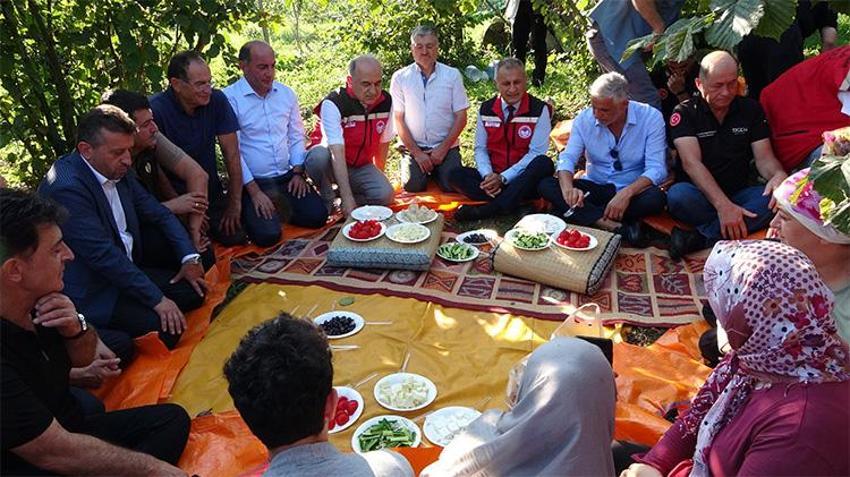 Ordu'da yeşil altın sezonu resmen açıldı!