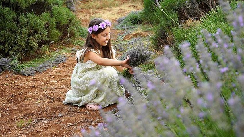 Isparta'da hasat başladı! Sezon boyunca 100 bin kişi ziyaret etti