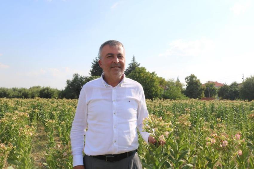 Denizli'de deneme amaçlı ekildi! İlk hasat yapıldı: Meyveyi bırakan çiftçi yeni kazanç kapısını buldu