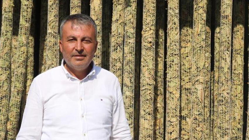 Denizli'de deneme amaçlı ekildi! İlk hasat yapıldı: Meyveyi bırakan çiftçi yeni kazanç kapısını buldu