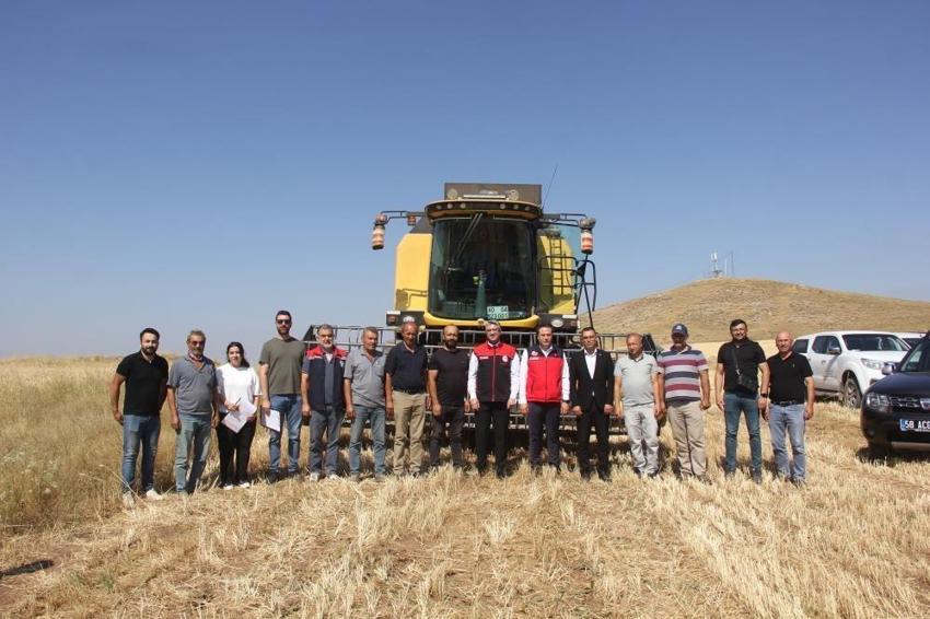 Sivas'ta toprakla ilk kez buluştu: 5 farklı çeşit hasat edildi
