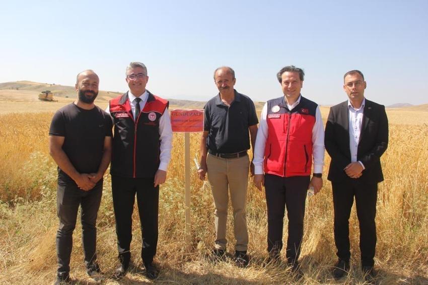 Sivas'ta toprakla ilk kez buluştu: 5 farklı çeşit hasat edildi