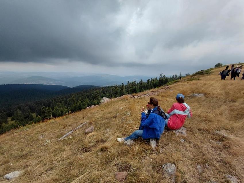 Bolu'da şifa mesaisi: Bin 850 metre rakımda topladılar