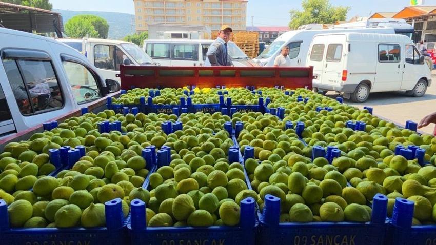 Türkiye'nin ilk taze incir hasadı başladı: Buharkent'te yoğun mesai! İhracat için yola çıktı