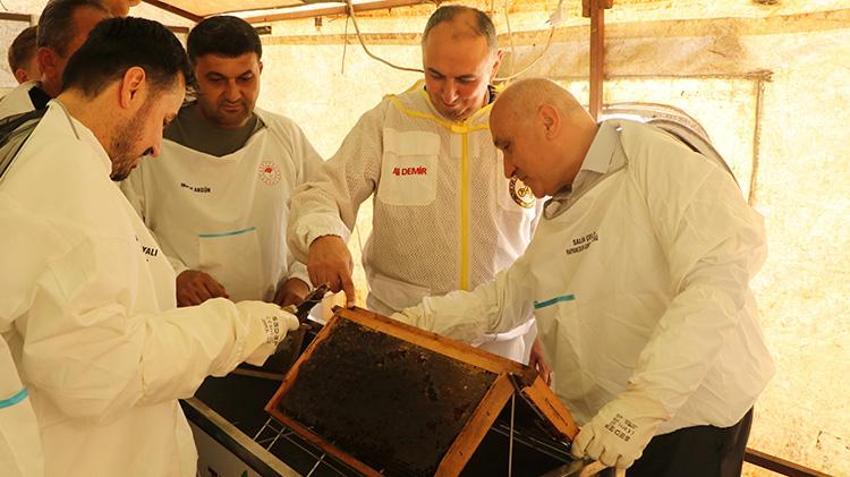 Devlet desteğini alan çiftçi kendi işinin patronu oldu! 900 kovanla rekora koşuyor