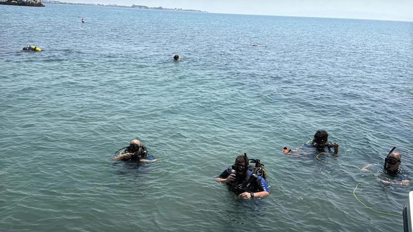 Milas kıyılarında deniz çayırları rehabilitasyon projesinde yüzde 90 başarı: Bilimsel yöntem Akdeniz’e örnek olacak