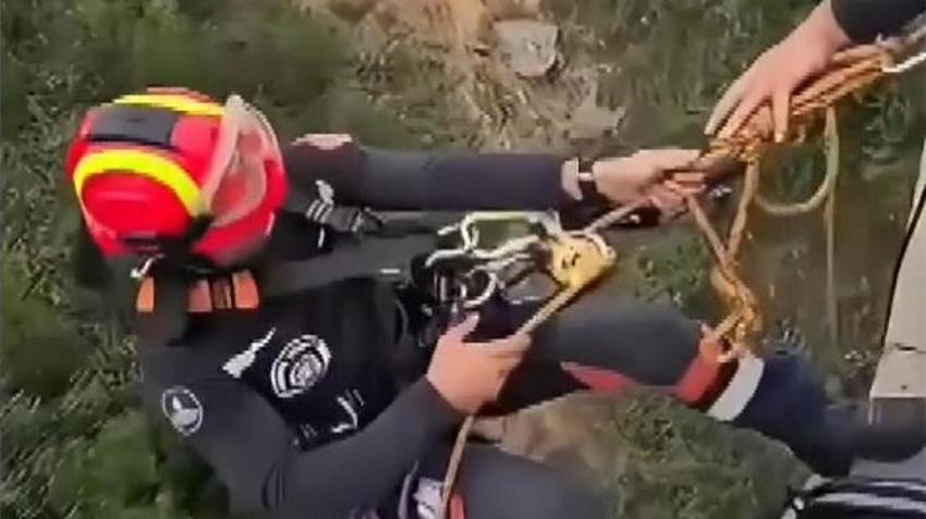 Kuzey Marmara Otoyolu’nda viyadük ayağında mahsur kalan keçi kurtarıldı