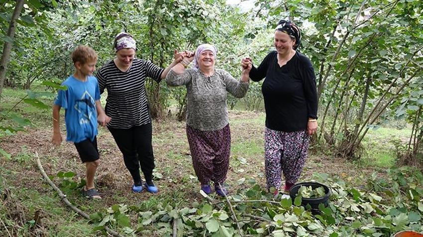 Karadeniz'de horonlu fındık hasadı başladı! İşçilerin yevmiyesi belli oldu