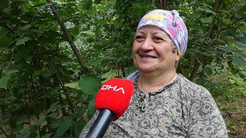 Karadeniz'de horonlu fındık hasadı başladı! İşçilerin yevmiyesi belli oldu
