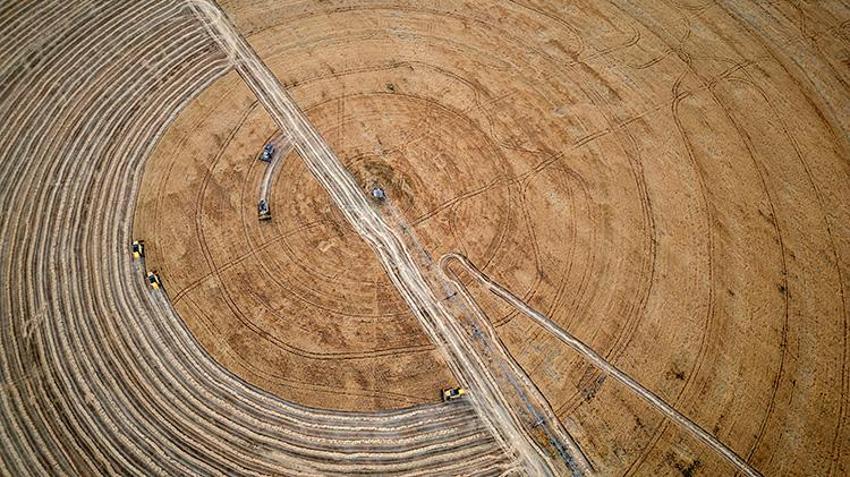 Altınova Tarım İşletmesi'nde son 10 yılın yüksek rekoltesi