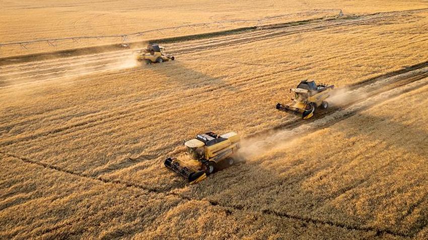 Altınova Tarım İşletmesi'nde son 10 yılın yüksek rekoltesi