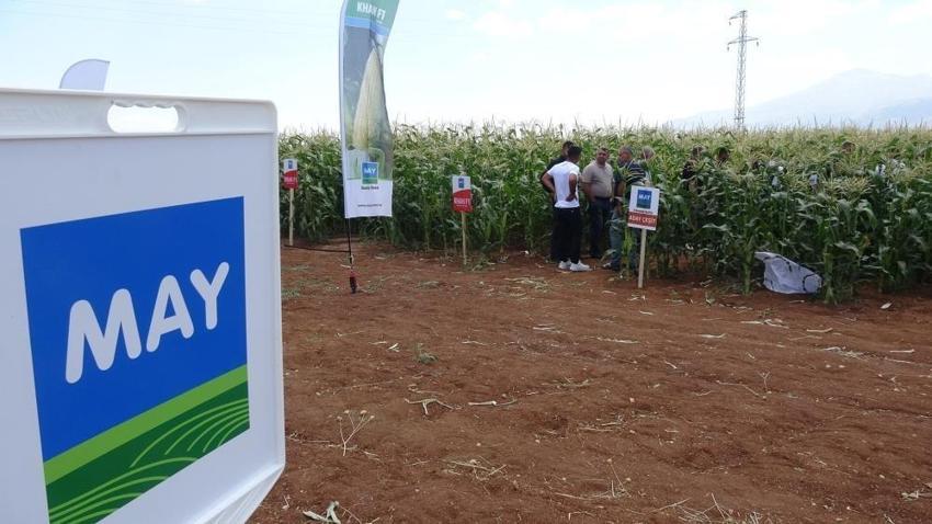 Karaman'da 5 yeni mısır türü çiftçilerle buluştu