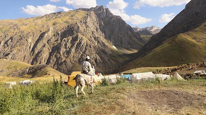 Hakkari yaylalarında kadınların emeği berekete dönüşüyor: Şemdinli'de geleneksel sağım mesaisi sürüyor!