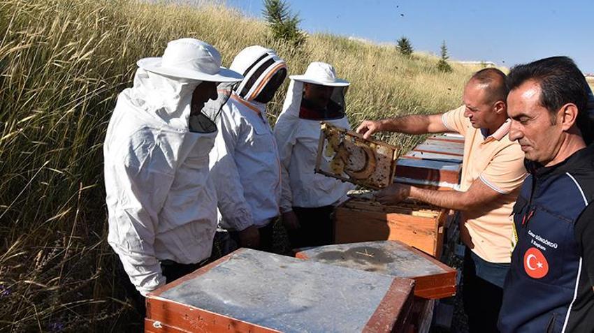 Balda sahteciliğin önüne geçilecek! Bitlis Balı dünya standartlarında test edilecek: 8 parametrede uluslararası onay alındı