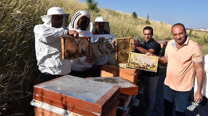 Balda sahteciliğin önüne geçilecek! Bitlis Balı dünya standartlarında test edilecek: 8 parametrede uluslararası onay alındı
