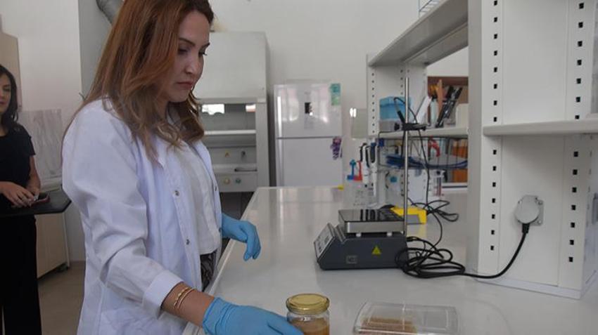 Balda sahteciliğin önüne geçilecek! Bitlis Balı dünya standartlarında test edilecek: 8 parametrede uluslararası onay alındı
