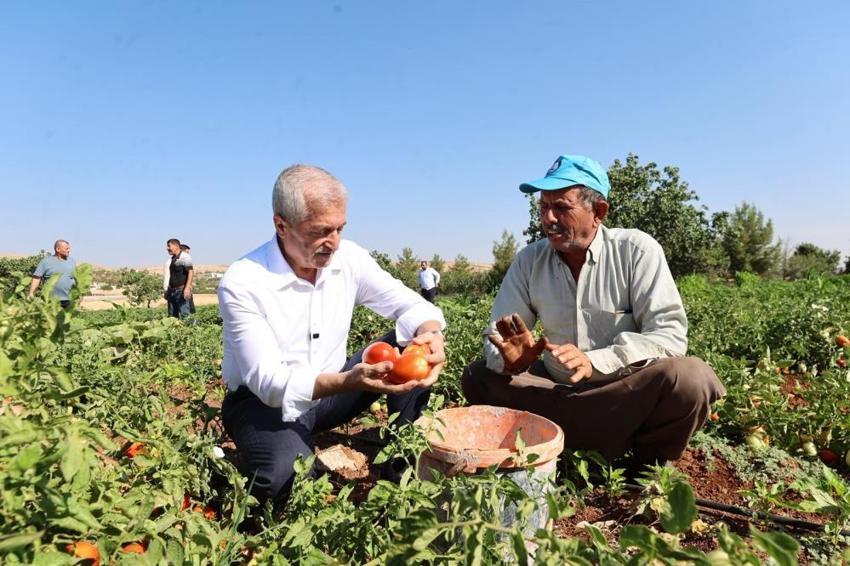 Şahinbey Belediyesi'nden çiftçilere 53 milyon fide desteği!