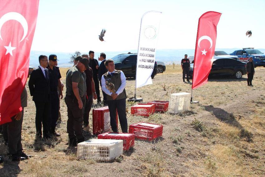 Kene popülasyonuna karşı doğal hamle: Kırıkkale'de avcı kınalı keklikler doğaya salındı