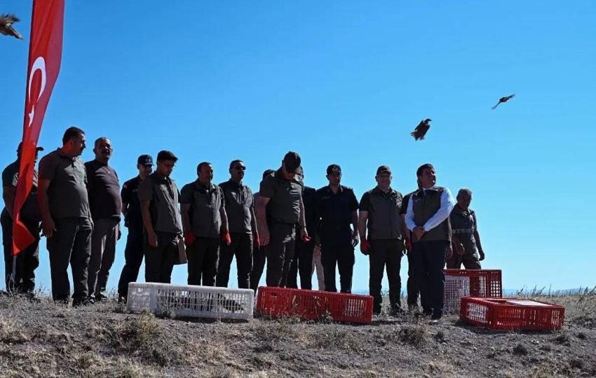 Kene popülasyonuna karşı doğal hamle: Kırıkkale'de avcı kınalı keklikler doğaya salındı