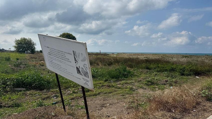 Cezası dudak uçuklatan kum zambakları Kocaali'de çöpler arasında soldu