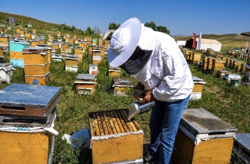 Ağrı'da 357 ton ürün alındı, karar sonra verildi: Geven Balı için iki adım atılacak